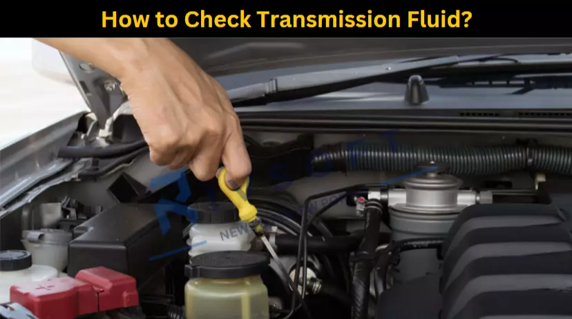 How to Check Transmission Fluid?